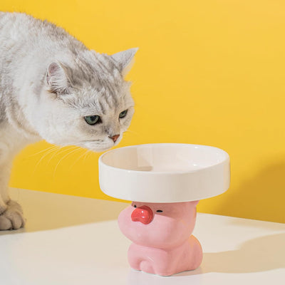 Raised Cat Bowls Cat Food Bowls