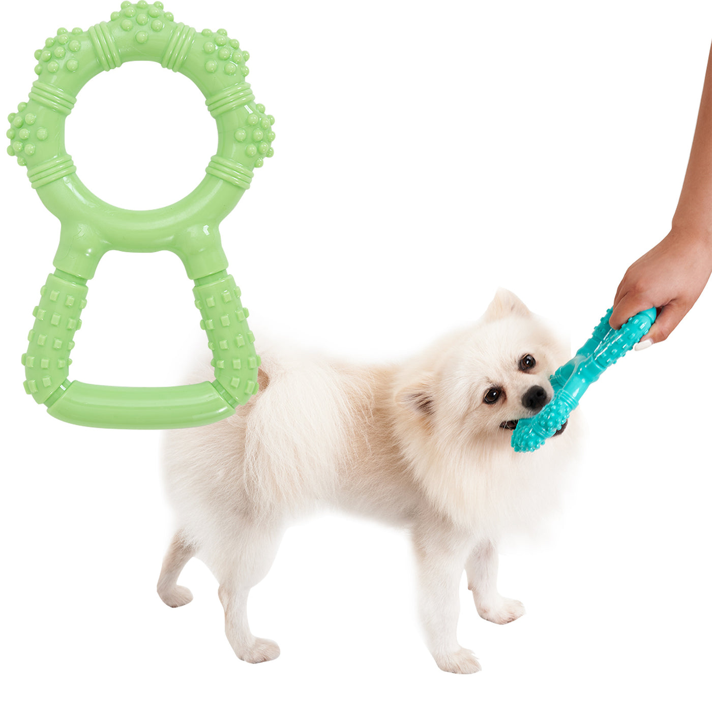 Fournitures pour animaux de compagnie Machine de meulage de dents interactive Jouets pour animaux de compagnie 