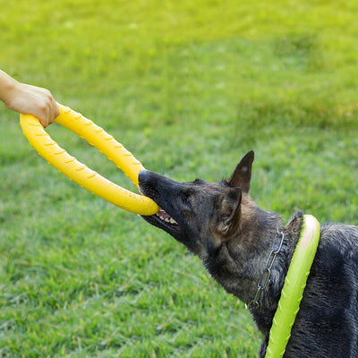 Anneau de traction pour jouet de dressage pour chien