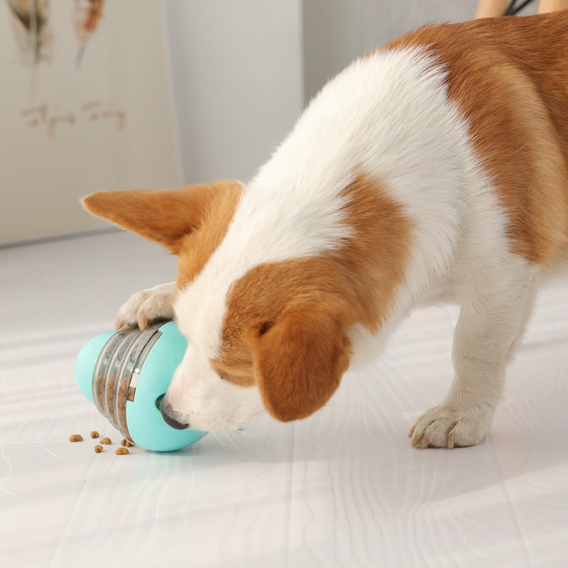 Nouveau jouet d'entraînement pour chien avec balle qui fuit