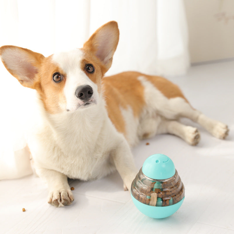 Nouveau jouet d'entraînement pour chien avec balle qui fuit