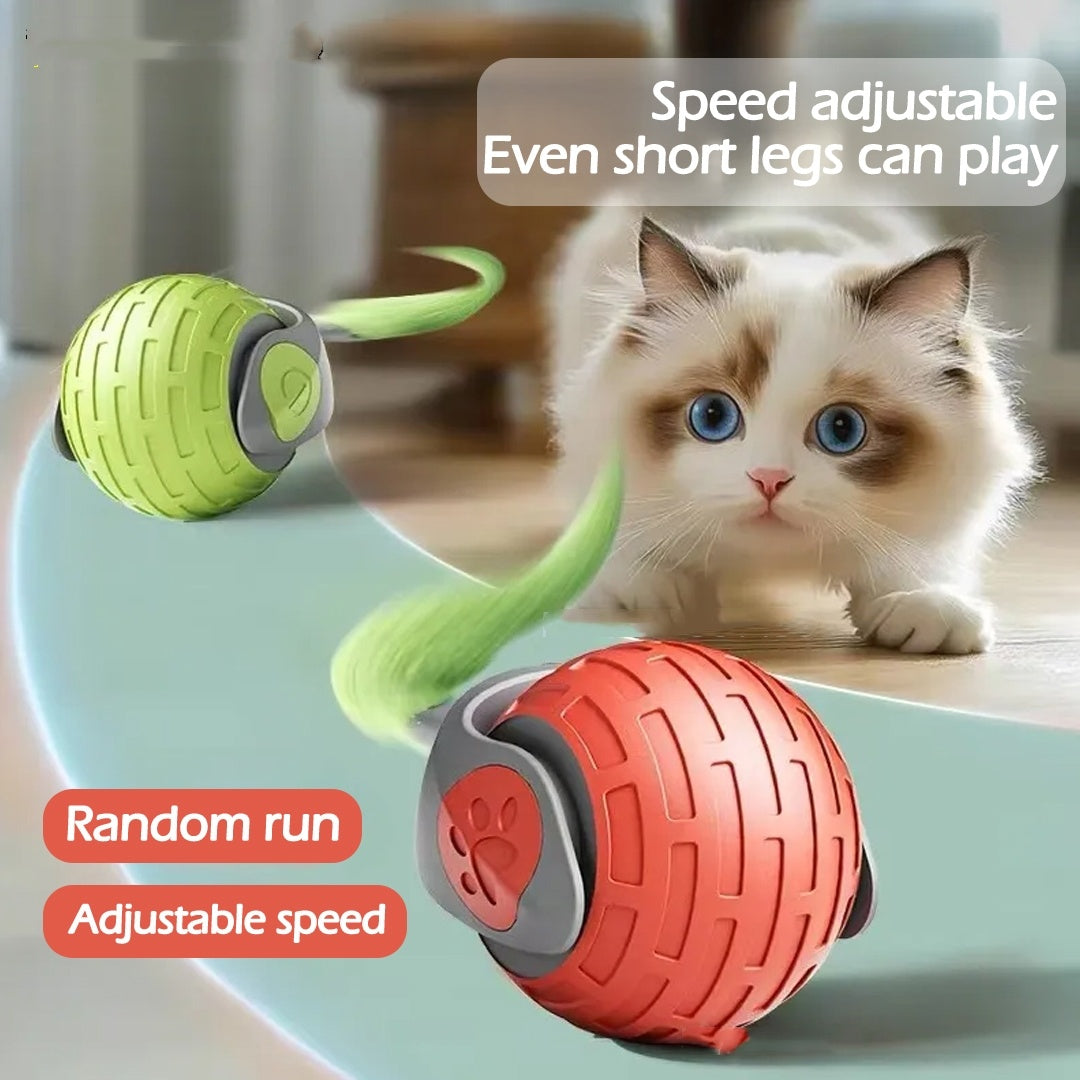 New Interactive Ball Auto Electric Rolling Ball Toys For Cat Kitty Pets