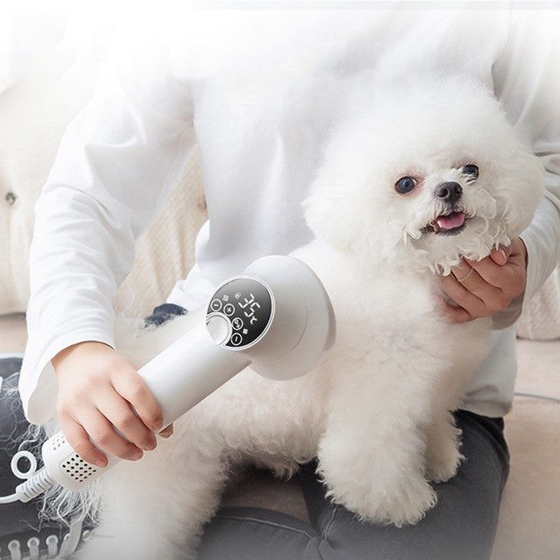 Smart Pet Hair Dryer Dog Golden Retriever Cat Grooming Hairdressing Blow & Comb Silent