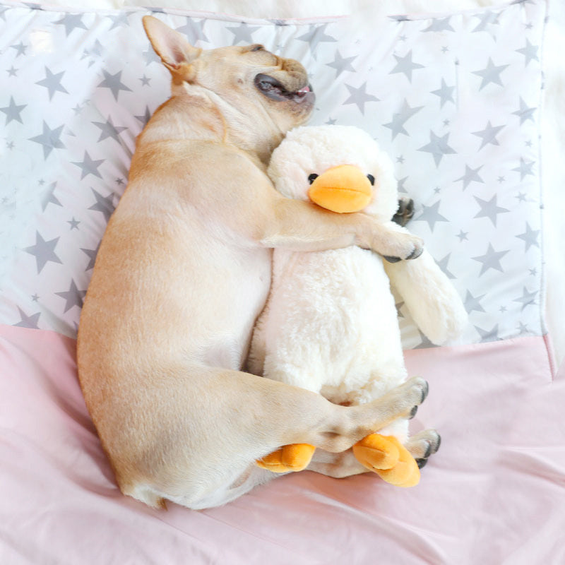 Fournitures pour animaux de compagnie Jouets en peluche pour chiens