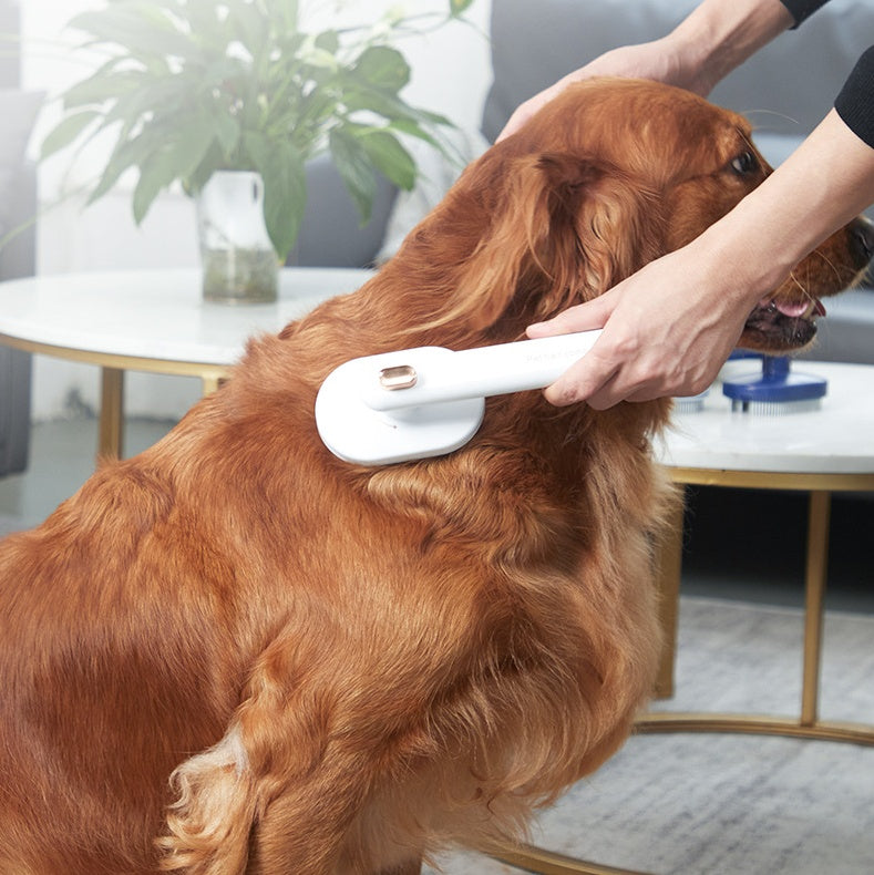 Peigne pour animaux de compagnie chat chien pour enlever les poils flottants brosse à poils d'animaux artefact d'épilation pour animaux de compagnie