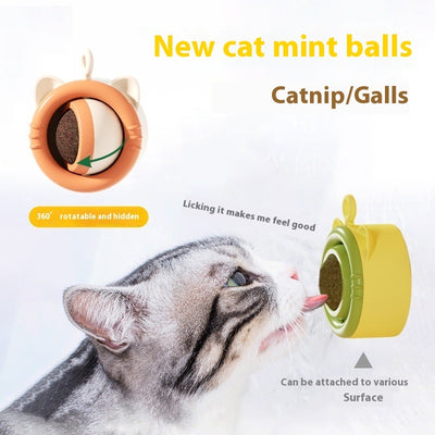 Cat Molar Catnip Gall Fruit Pet Toy