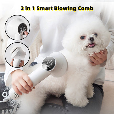 Sèche-cheveux intelligent pour animaux de compagnie Chien Golden Retriever Chat Toilettage Coiffure Souffler et peigner Silencieux